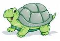 /_uploaded_files/smiling-turtle.jpg /_uploaded_files/smiling-turtle.jpg