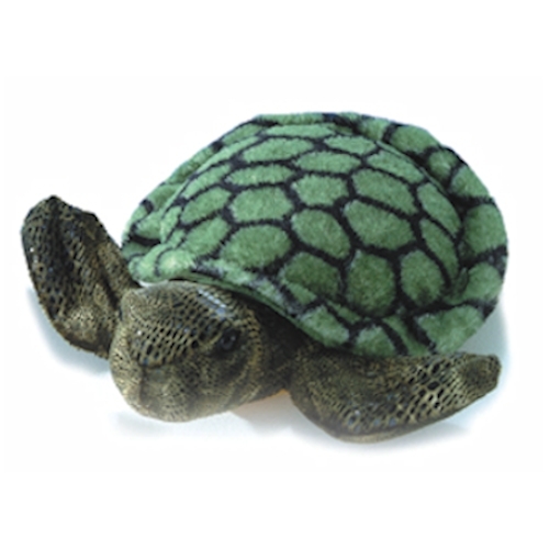 aurora turtle plush